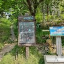 입화산참살이숲 이미지