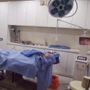 예미원피부과의원 이미지