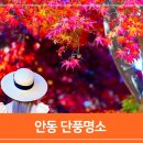 도산서원 경내 화장실 | 안동 단풍 명소, 경북 안동 가볼만한곳 안동 하회마을,도산서원,용계 은행나무