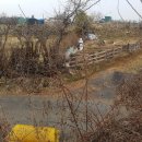 구암동221 이미지