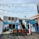 한번쯤은 꼭 해볼만한 강원도 속초 놀거리, 스쿠버다이빙 체험 해보기 (+꿀팁)