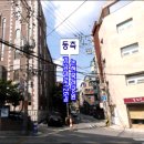 제일교회 앞 이미지