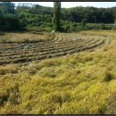 쌍지보건진료소 이미지