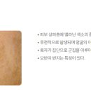 라움성형외과