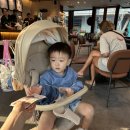 꼬꼬마망 | 꼬꼬마망 트라이크 세탁후기