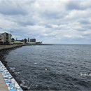 부룡수 스테이. 또 다른 애월 | 애월 맛집 &lt;정도 애월 흑돼지 본점&gt; 탐라스테이 애견동반