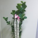 체형교정원 이미지