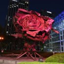 강남꽃 - 춘천시 춘주로 101 | 강남꽃