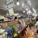 남대문꽃시장 ) 꽃집보다 훨씬 저렴하게 꽃다발 꽃바구니를 바로 만들어 선물할 수 있는 꿀팁 남대문...
