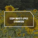 세븐일레븐의정부신곡효자점 | 서울 근교 여행 의정부 신곡새빛정원 해바라기 경기도 가을 여행지