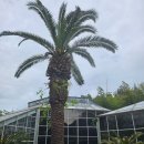 생태숲노래연습장 | 제주 한라수목원 도심 생태숲 화목원 운영시간·코스·산책길 코스·입장료