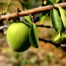 수림농장 이미지