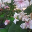 월명농장 이미지