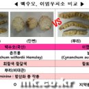 한국내츄럴케어 이미지