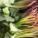 양촌농원 이미지