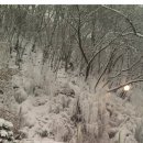 1월24일 (월) 눈 산행 수리산 벙개 칩니다 이미지