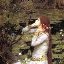 은빛하우스 이미지