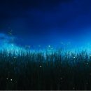 청정수풀 이미지