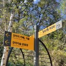 강아지테마파크 네이버블로그