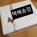 아티자나 이미지