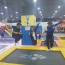 초아태권도장 이미지