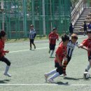 리틀축구클럽 - 수원시 권선구 호매실로 46-16 | 리틀축구클럽