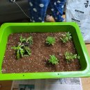 금수봉농장 이미지