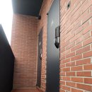 스테이 호자 이미지