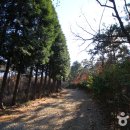 장승휴게소화장실 이미지