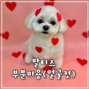 서울미용타운 - 군산시 문화로 67-1 | 서울미용타운