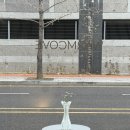 오렌지커피