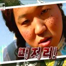 배드독 이미지