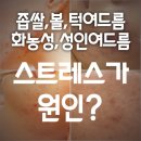 일등맞집
