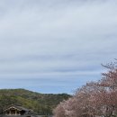 이상복 경주빵(보불로점)