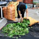 삼척오리마을 이미지