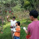 상준농장 이미지