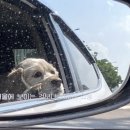 행운게임랜드 이미지