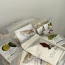 청정농장 | 아기 첫 유기농 떡뻥, 질마재 농장 내돈내산 후기