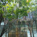 할리스 일광신도시점 이미지