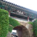 해미-비상-2 이미지