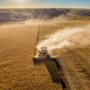 초월농장 이미지