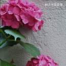 공간569고시원