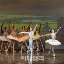 2021 수원발레축제 이미지