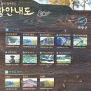 유곡면 농촌체험랜드 이미지