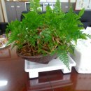 동백초등학교 이미지