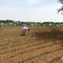 이준구농장 이미지