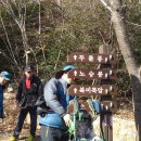 해남 두륜산 산행기(오소재-오심재-노승봉(682m)-두륜산(703m)-만일재-두륜봉(627m)-진불암(403m)-대흥사-주차장) 이미지