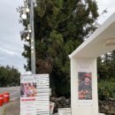 서광동보건진료소 이미지