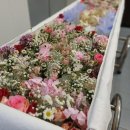 동국대학교일산병원장례식장