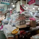 주식회사미래 티스토리